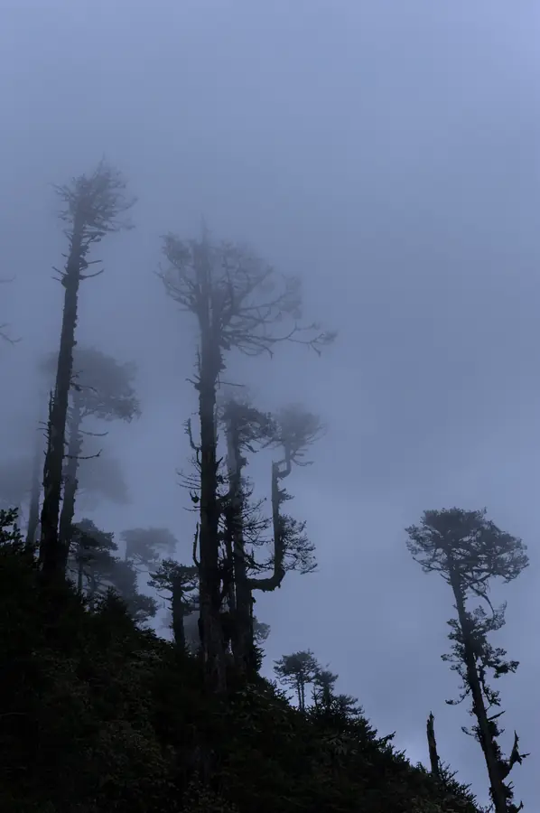 Aus der Fotoreportage Bhutan