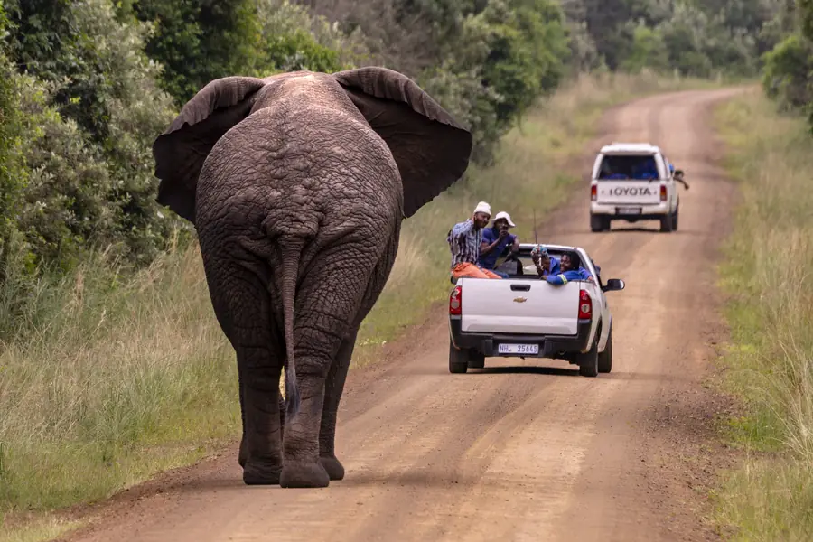 Aus der Fotoreportage Johannesburg