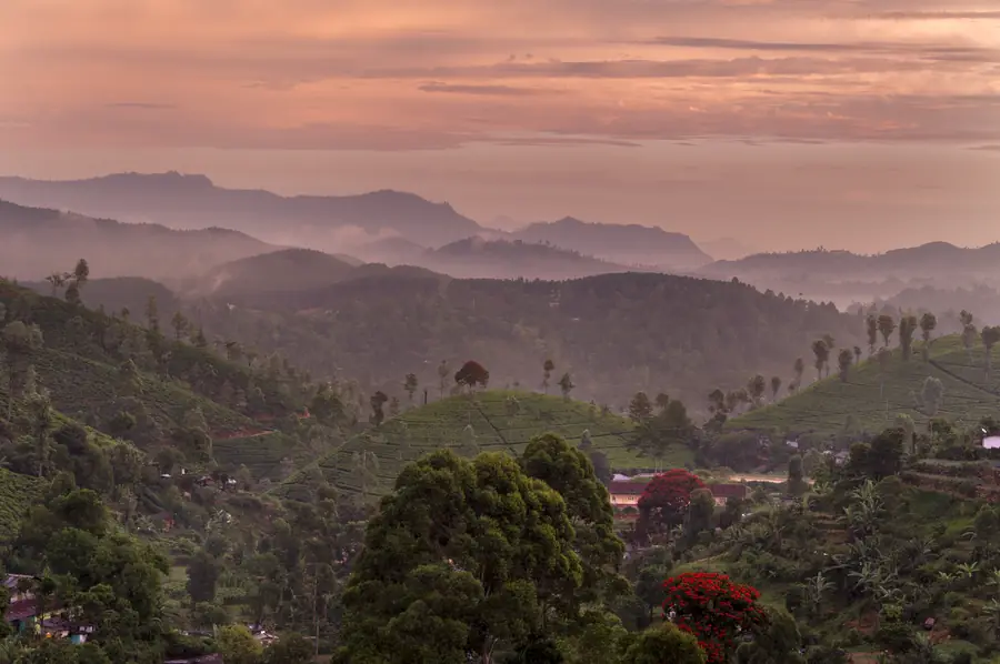 Aus der Fotoreportage Sri Lanka