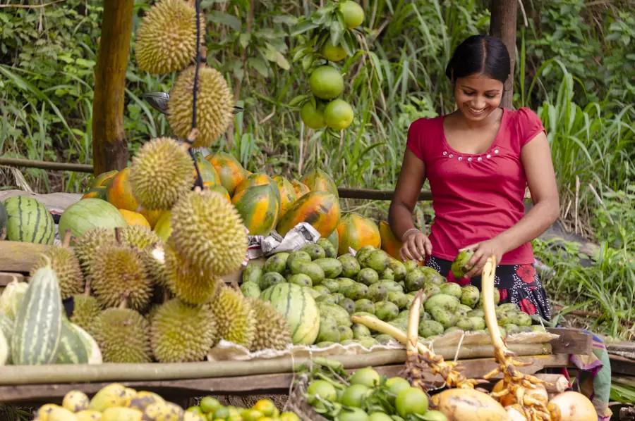 Aus der Fotoreportage Sri Lanka