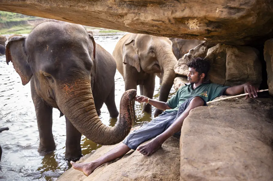 Aus der Fotoreportage Sri Lanka