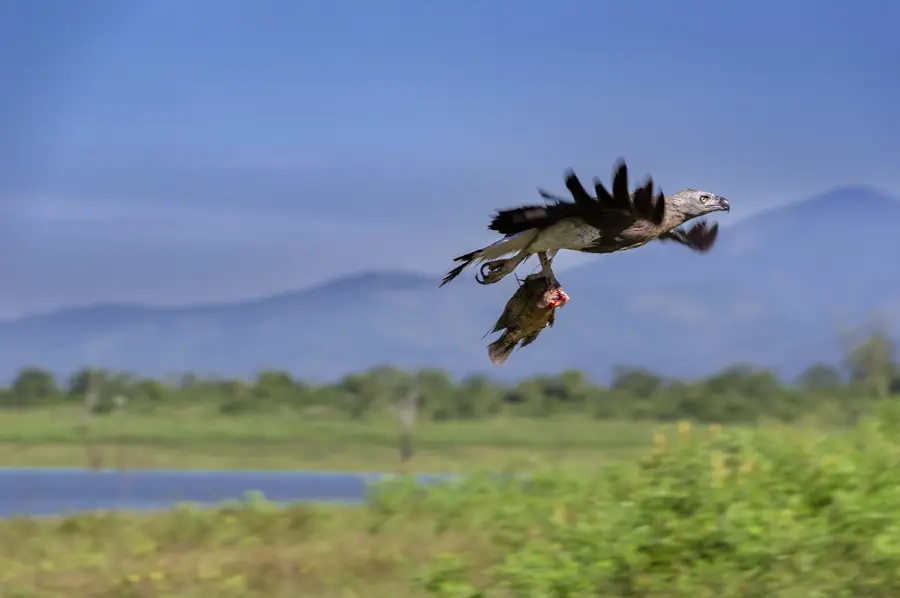 Aus der Fotoreportage Sri Lanka
