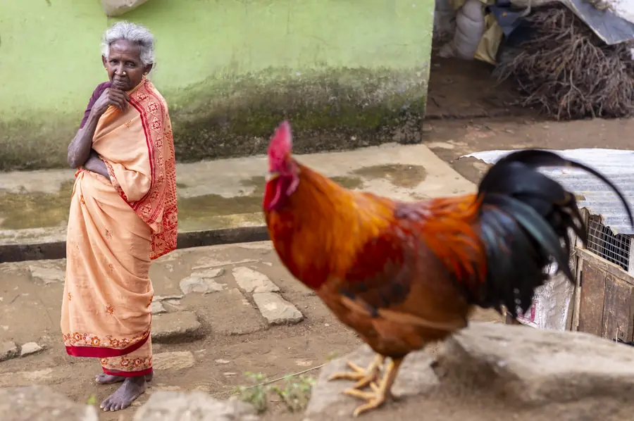 Aus der Fotoreportage Sri Lanka